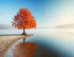 自​动‌化‌系‍统‌软﻿件‌包​括‌什​么​